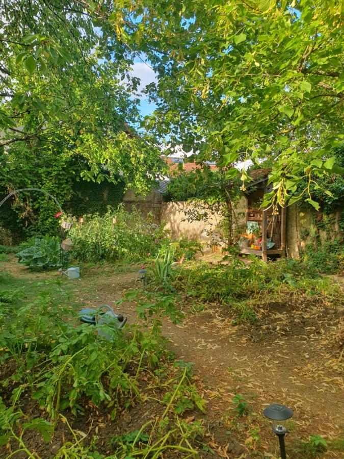 Le Clos Du Moulin Dijon,Sa Piscine, Son Jardin, Au Calme, La Campagne A La Ville Dijon